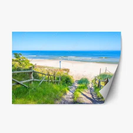 Sticker repositionnable chemin vers la plage de sable blanc, Mer Baltique, Pologne – Wallnifity®