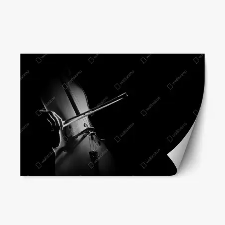 Sticker repositionnable violoncelle en clair-obscur – Wallnifity®