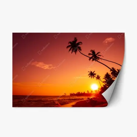 Sticker repositionnable coucher de soleil tropical sur une plage paradisiaque – Wallnifity®