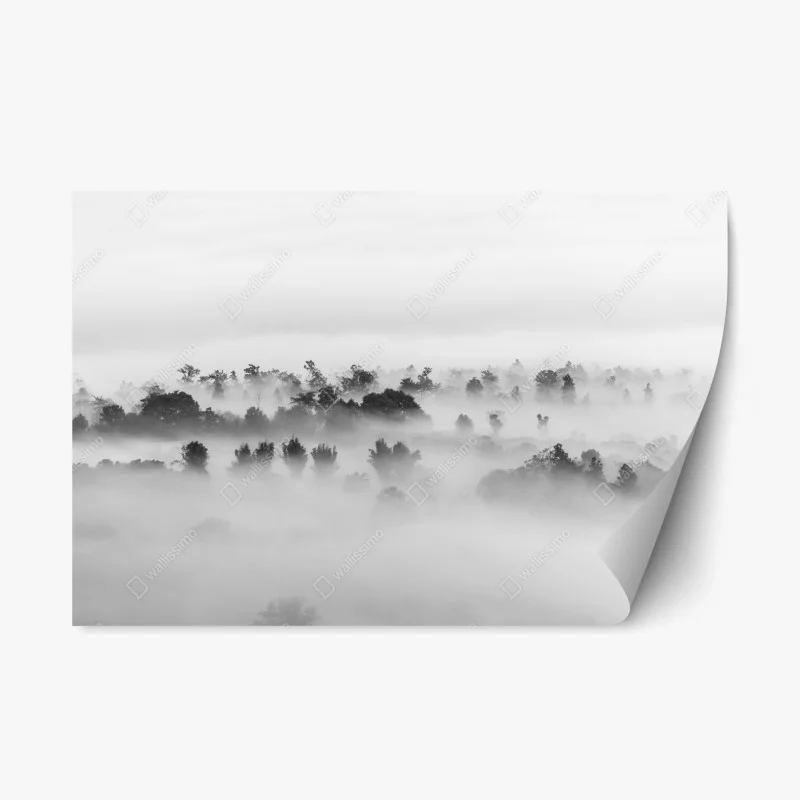 Nature – Wallnifity®