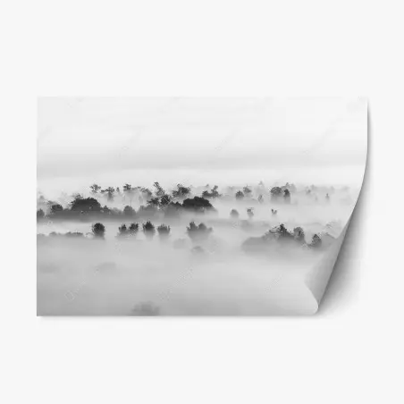Sticker repositionnable brume sur la forêt en noir et blanc – Wallnifity®