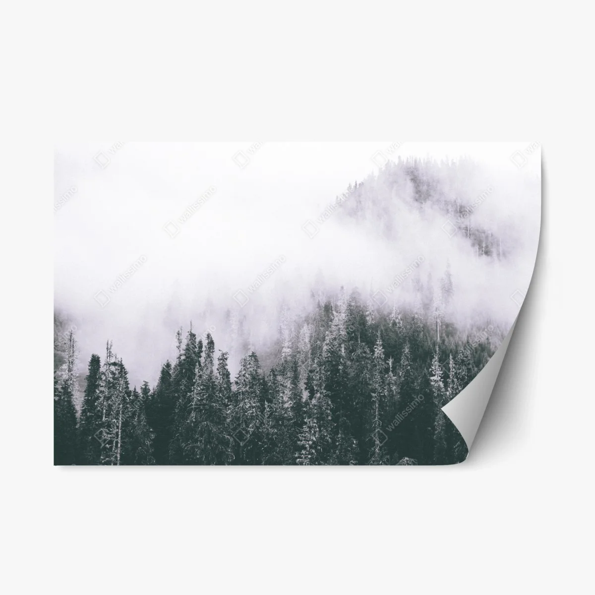 Sticker repositionnable forêt brumeuse en noir et blanc – Wallnifity® Sticker repositionnable forêt brumeuse en noir et blanc – Wallnifity®