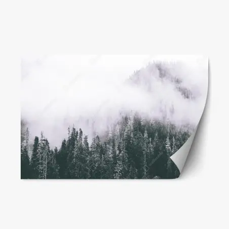 Sticker repositionnable forêt brumeuse en noir et blanc – Wallnifity®