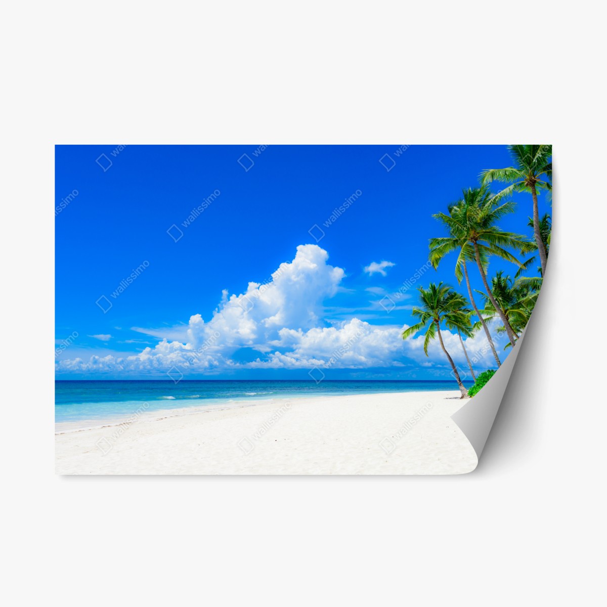 Sticker repositionnable évasion tropicale plage de sable blanc – Wallnifity®