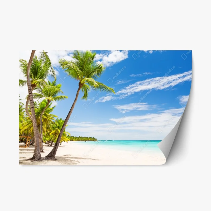 Nature – Wallnifity®