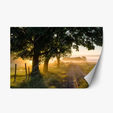 Sticker repositionnable aube dorée sur le chemin de campagne – Wallnifity®