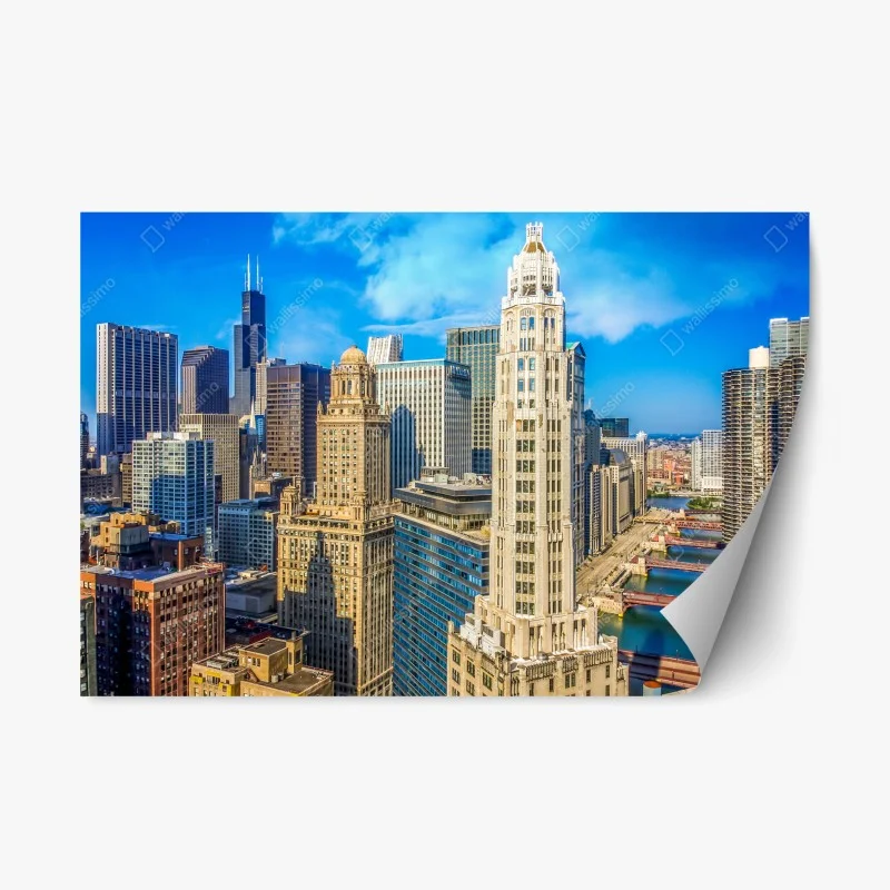 Urban Chic – Wallnifity®