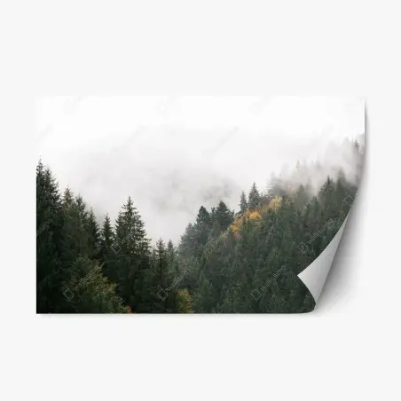 Sticker repositionnable forêt de montagne embrumée – Wallnifity®