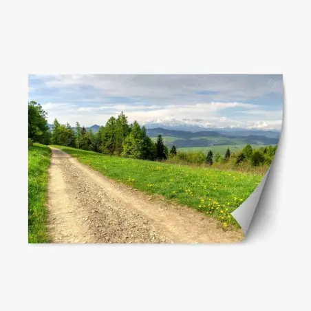 Sticker repositionnable chemin de gravier printanier, Gorce, Pologne – Wallnifity®