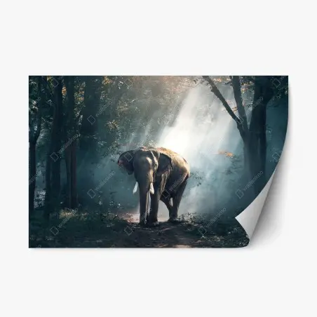 Sticker repositionnable éléphant majestueux dans la forêt brumeuse – Wallnifity®