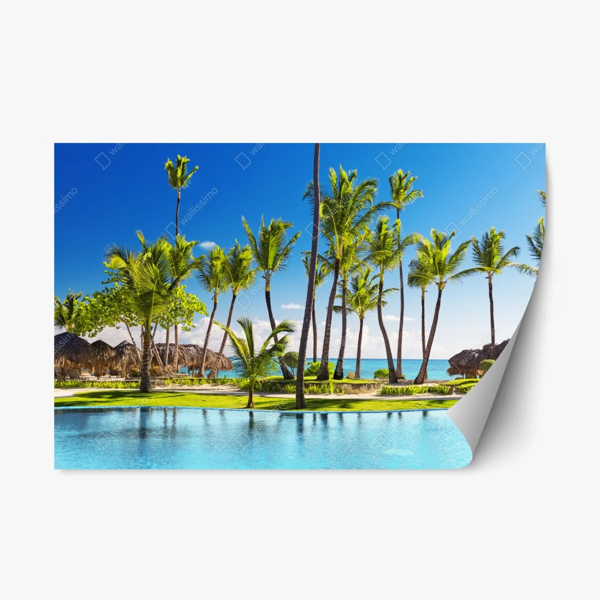 Sticker repositionnable paradis tropical à Punta Cana – Wallnifity® Sticker repositionnable paradis tropical à Punta Cana – Wallnifity®