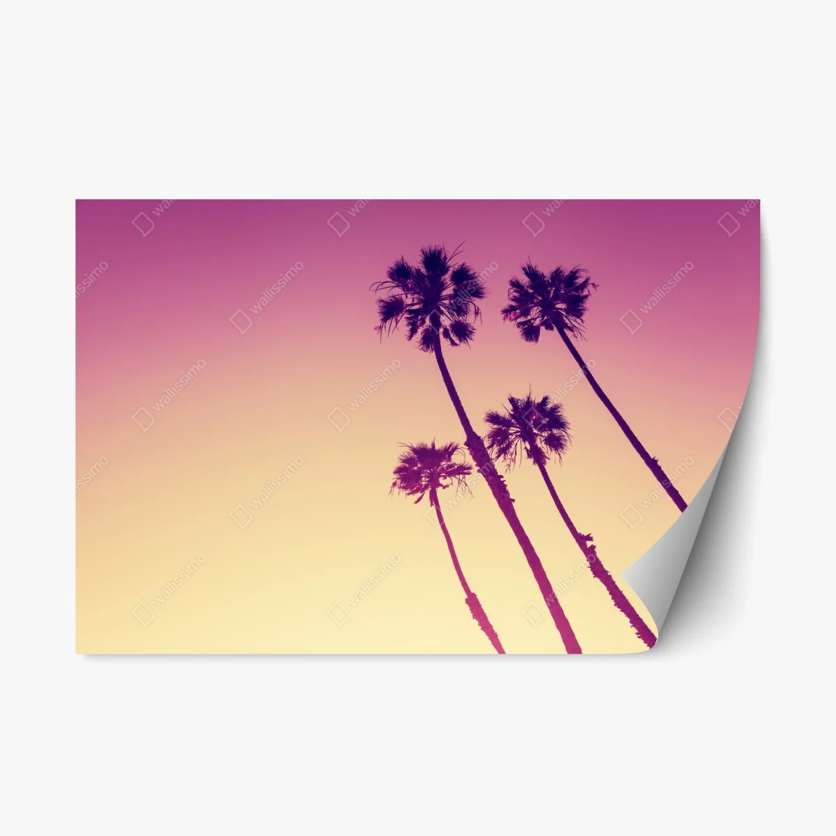 Sticker repositionnable palmiers au crépuscule à Sunset Cliffs, San Diego – Wallnifity® Sticker repositionnable palmiers au crépuscule à Sunset Cliffs, San Diego – Wallnifity®
