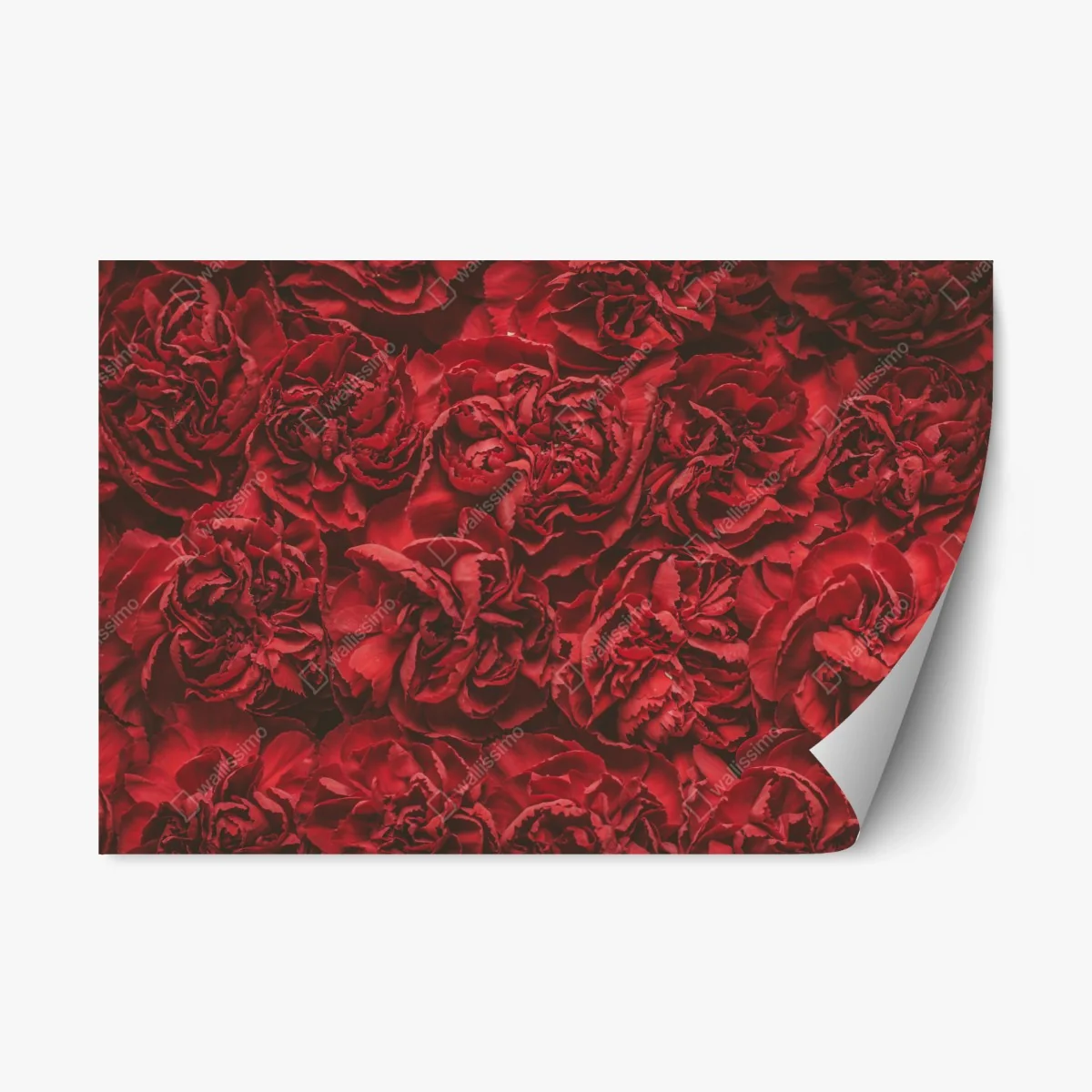 Sticker repositionnable œillets rouges rétro pour décoration intérieure – Wallnifity® Sticker repositionnable œillets rouges rétro pour décoration intérieure – Wallnifity®
