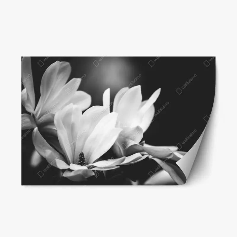 Stickers repositionnables – Wallnifity®