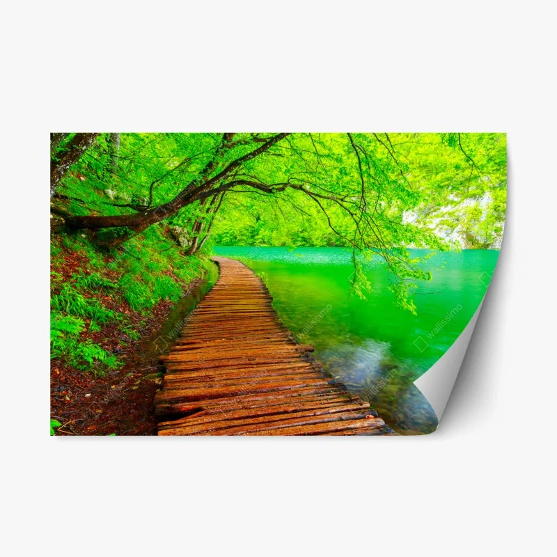 Autocollants – Wallnifity®