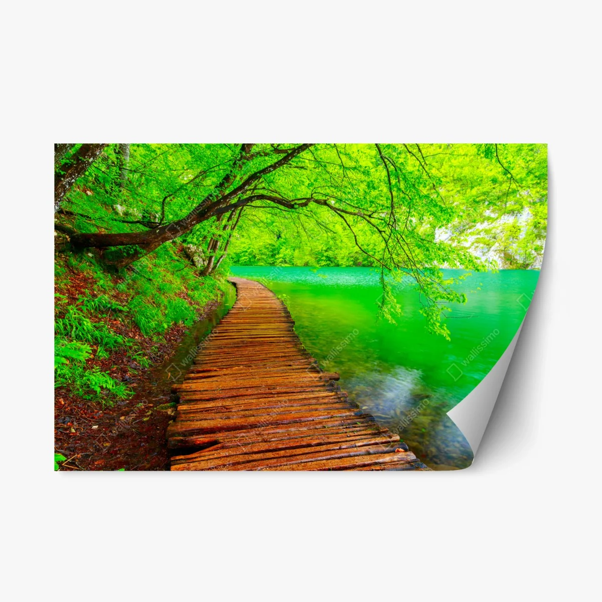 Sticker repositionnable chemin en bois au bord d'un lac émeraude – Wallnifity® Sticker repositionnable chemin en bois au bord d'un lac émeraude – Wallnifity®