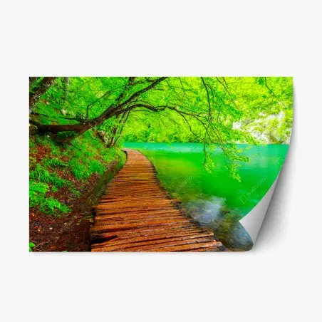 Sticker repositionnable chemin en bois au bord d'un lac émeraude – Wallnifity®