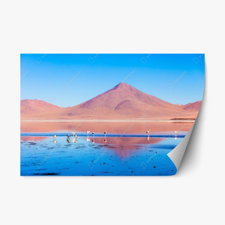 Sticker repositionnable flamants roses et reflets de Laguna Colorada – Wallnifity®