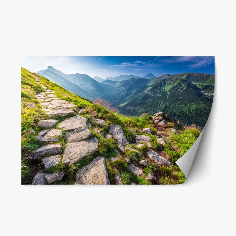 Nature – Wallnifity®