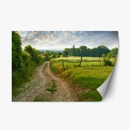 Sticker repositionnable sentier champêtre au lever du soleil – Wallnifity®