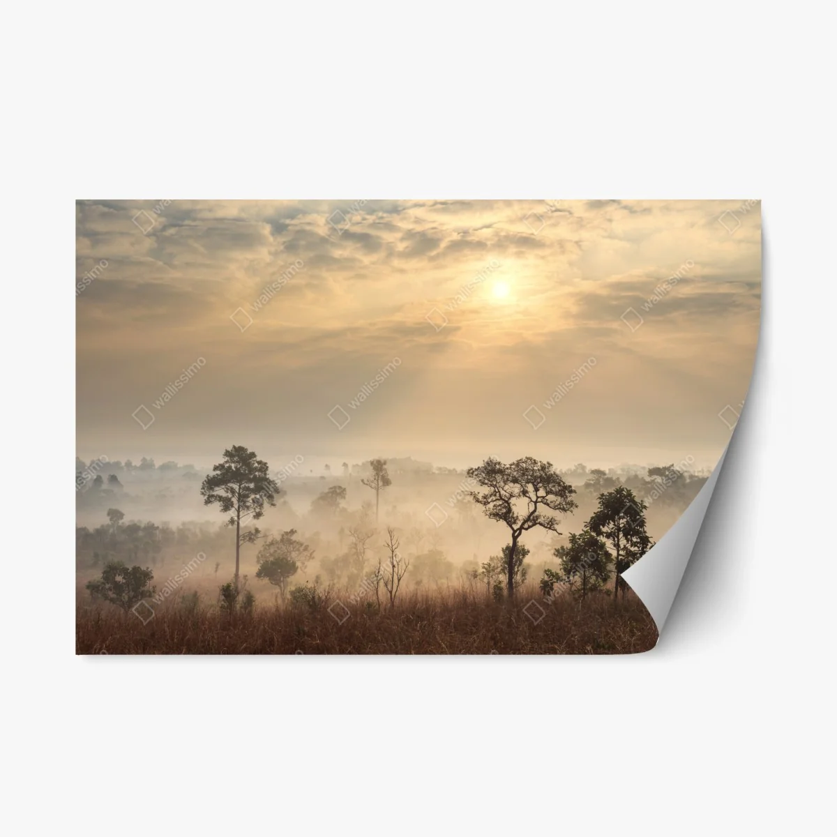 Sticker repositionnable brume dorée sur la savane de Thaïlande – Wallnifity® Sticker repositionnable brume dorée sur la savane de Thaïlande – Wallnifity®