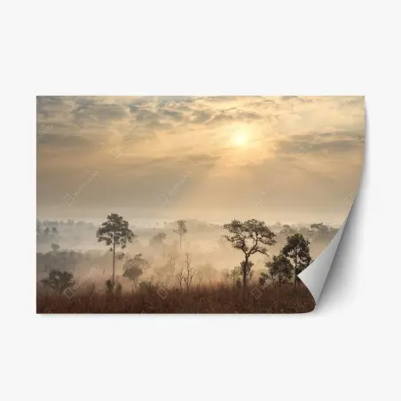 Sticker repositionnable brume dorée sur la savane de Thaïlande – Wallnifity®