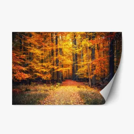 Sticker repositionnable forêt d'automne en lumière dorée – Wallnifity®