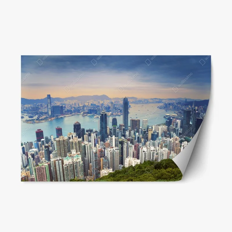 Stickers repositionnables – Wallnifity®