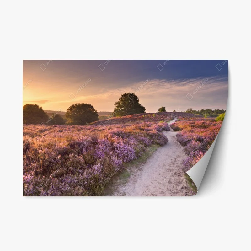 Nature – Wallnifity®