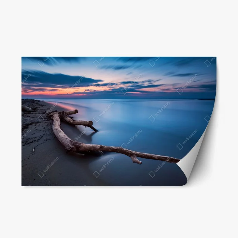 Plage – Wallnifity®