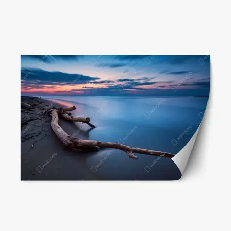 Sticker repositionnable bois flotté au crépuscule – Wallnifity®