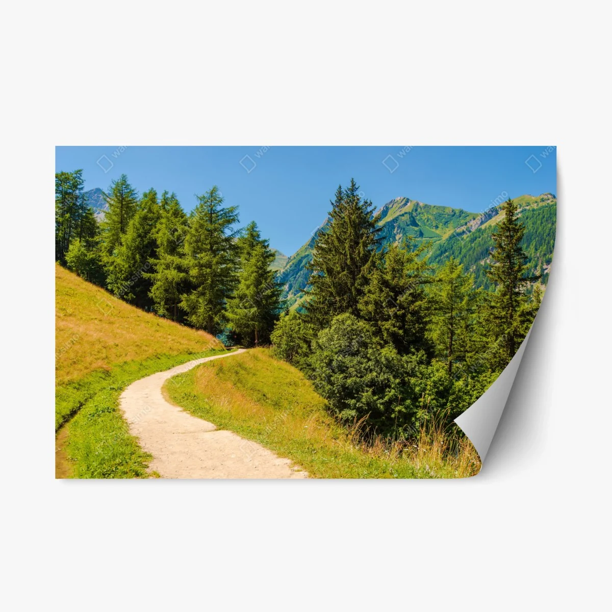 Sticker repositionnable sentier estival dans les Alpes suisses – Wallnifity® Sticker repositionnable sentier estival dans les Alpes suisses – Wallnifity®