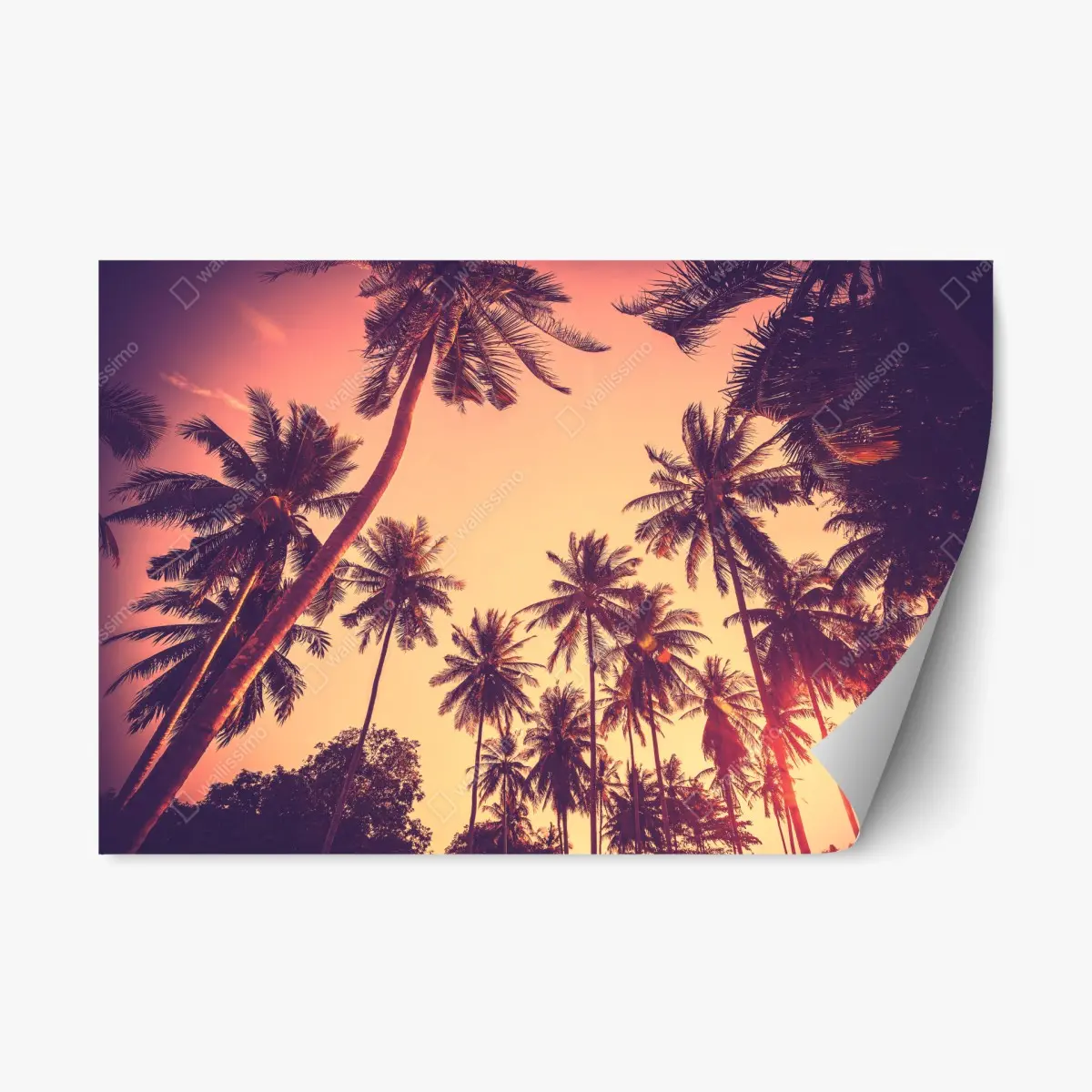 Sticker repositionnable crépuscule tropical vintage – Wallnifity®