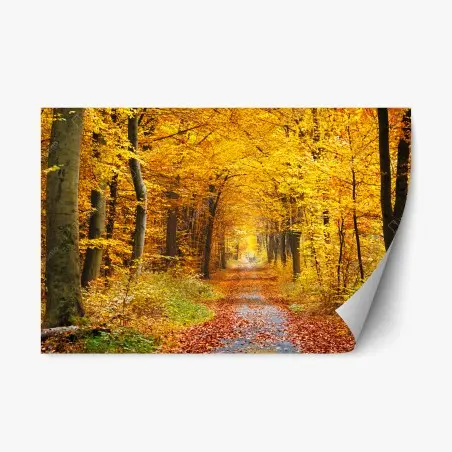 Sticker repositionnable chemin d'automne en forêt dorée – Wallnifity®