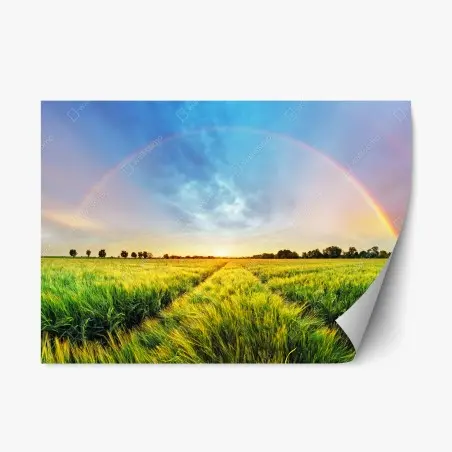 Sticker repositionnable paysage champêtre avec arc-en-ciel au coucher du soleil – Wallnifity®