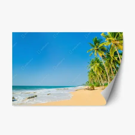 Sticker repositionnable plage tropicale bordée de palmiers – Wallnifity®