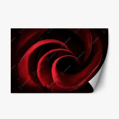 Sticker repositionnable spirale de pétales de rose rouge – Wallnifity®