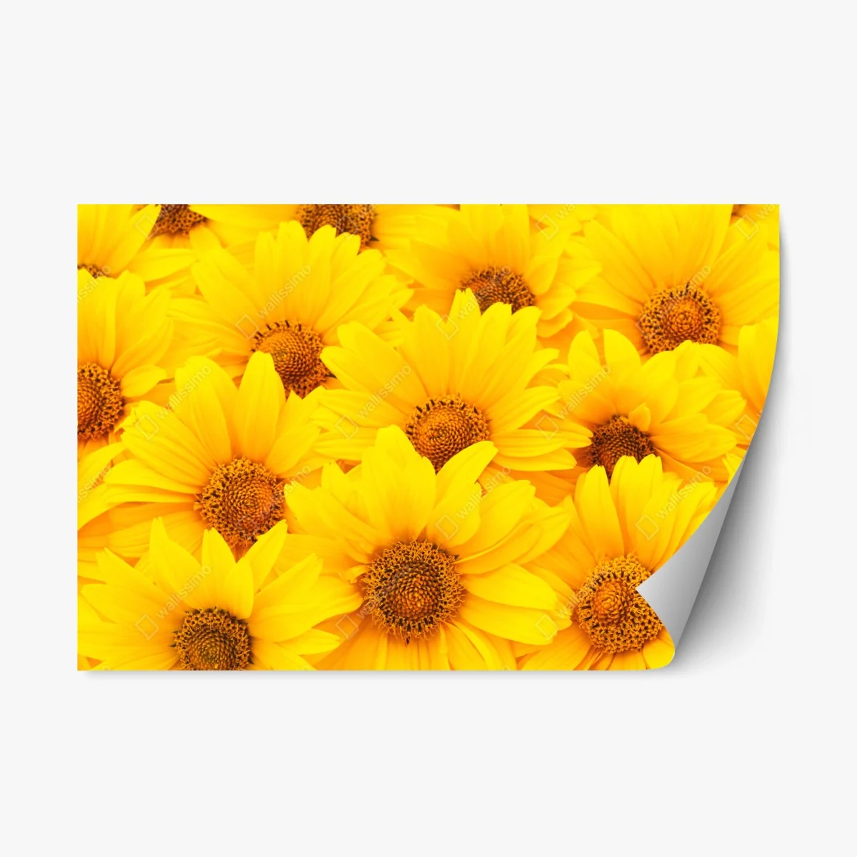 Sticker repositionnable éclat de tournesols jaunes – Wallnifity® Sticker repositionnable éclat de tournesols jaunes – Wallnifity®