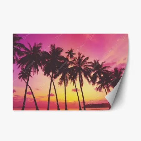 Sticker repositionnable coucher de soleil tropical rétro – Wallnifity®