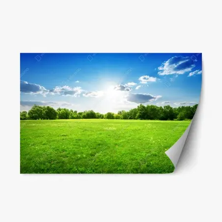 Sticker repositionnable champ verdoyant sous un ciel ensoleillé – Wallnifity®