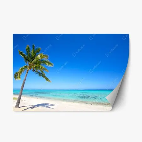 Sticker repositionnable palmier solitaire sur plage paradisiaque – Wallnifity®