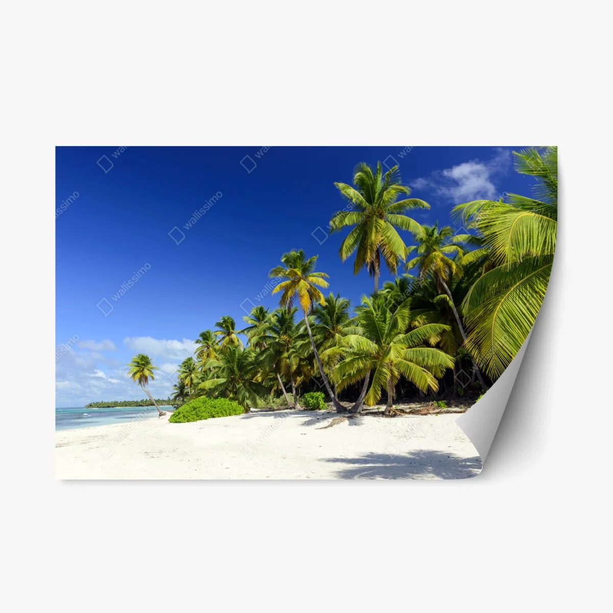 Sticker repositionnable plage paradisiaque de Punta Cana – Wallnifity® Sticker repositionnable plage paradisiaque de Punta Cana – Wallnifity®