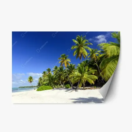 Sticker repositionnable plage paradisiaque de Punta Cana – Wallnifity®