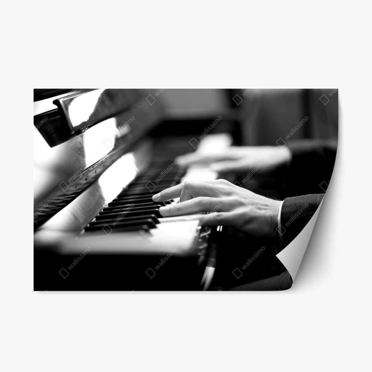 Sticker repositionnable mains au piano — instant d'élégance musicale – Wallnifity®