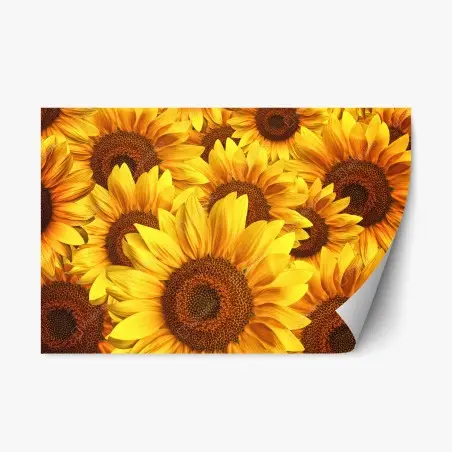 Sticker repositionnable mosaïque de tournesols éclatants – Wallnifity®