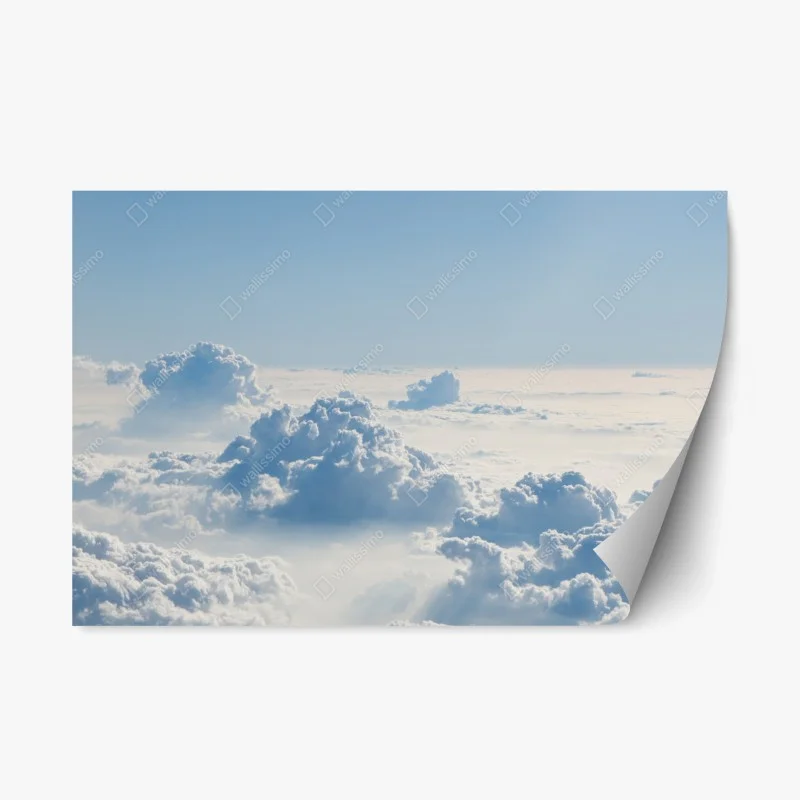 Autocollants – Wallnifity®