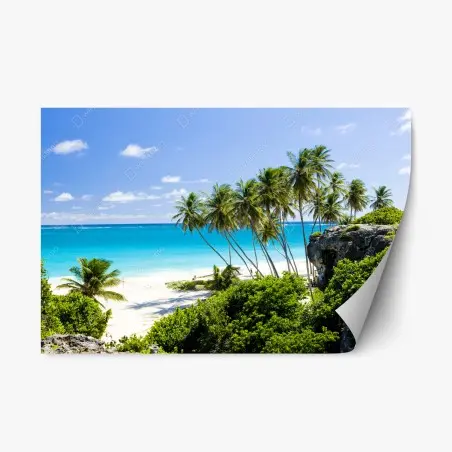 Sticker repositionnable évasion tropicale à Bottom Bay, Barbados – Wallnifity®
