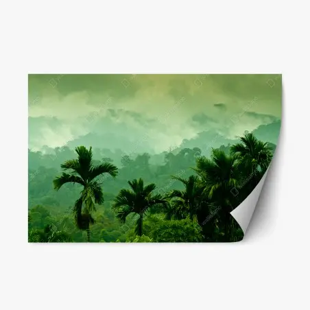 Sticker repositionnable panorama de forêt tropicale brumeuse – Wallnifity®