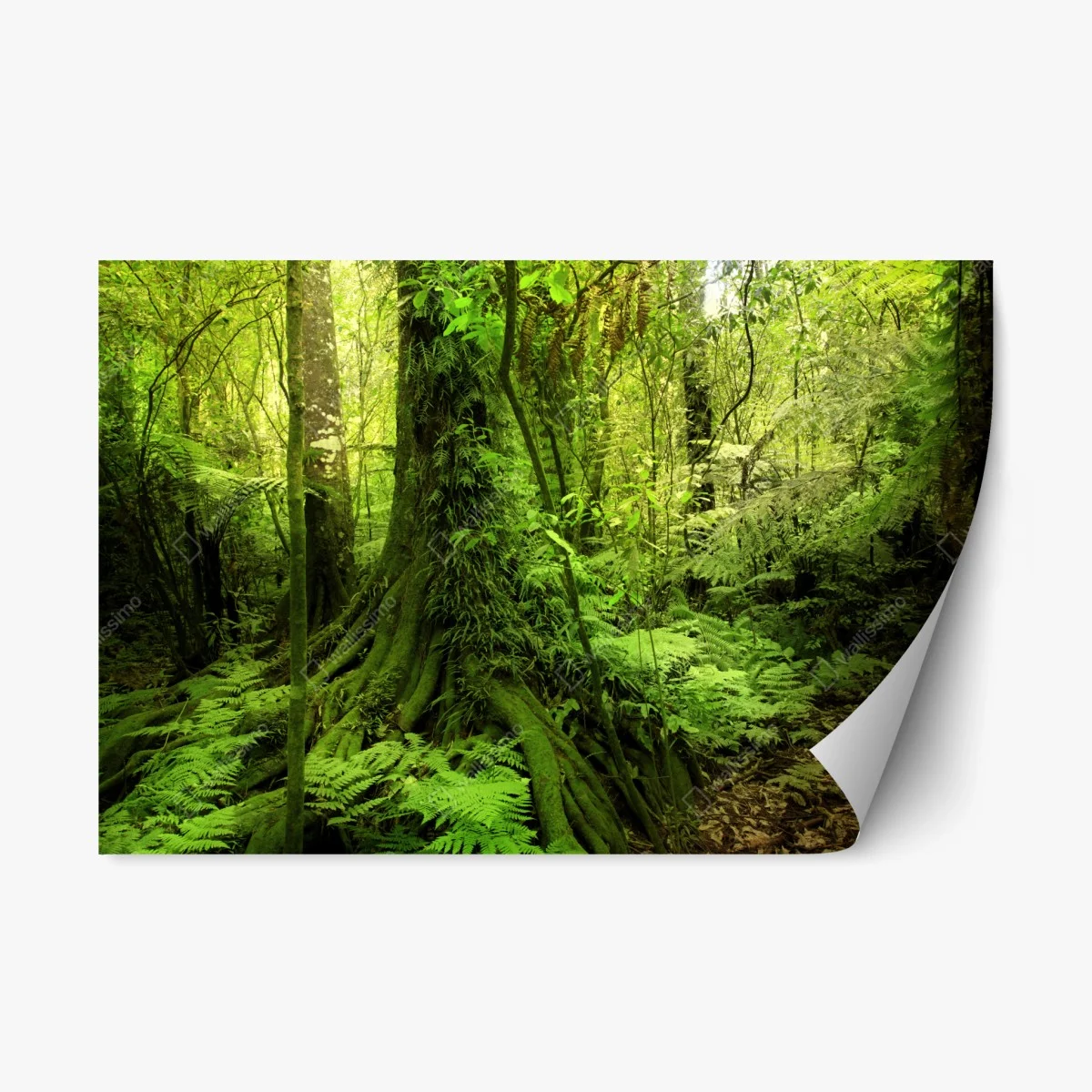 Sticker repositionnable forêt tropicale luxuriante – Wallnifity® Sticker repositionnable forêt tropicale luxuriante – Wallnifity®