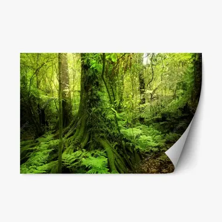 Sticker repositionnable forêt tropicale luxuriante – Wallnifity®